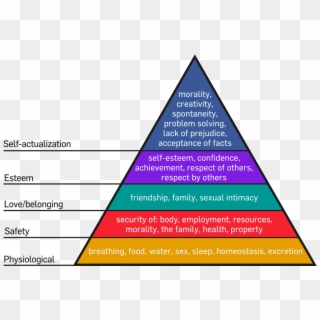 Is Narendar Modi A Virgin - Maslow's Hierarchy Of Needs Activity, HD Png Download
