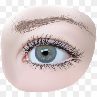 Eyes Vector Realistic Png, Transparent Png