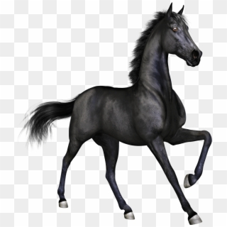 Black Race Horse - Black Horse Png, Transparent Png