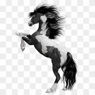 Black White Horse Png Clipart Picture - Black And White Horse Png, Transparent Png