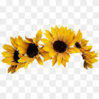 Sunflower Flowercrown Coronadeflores Flowers Floresfall - Transparent Background Sunflower Crown Png, Png Download