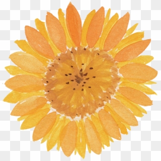 Free Download - Watercolor Sunflower Transparent Background, HD Png Download