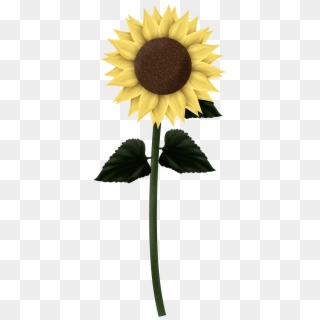 Download Sunflowers Png Clipart, Transparent Png