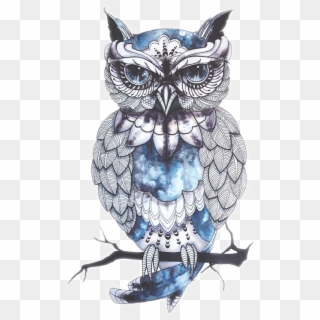 Owl Drawing Artist Bird Tattoo Png Free Photo Clipart - Tatuagem Corujas Desenhos, Transparent Png