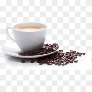 Fresh Coffee Png - Dallmayr Kaffeetasse, Transparent Png