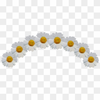 Ftestickers Sticker - Daisy Flower Crown Png, Transparent Png