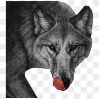 Hungry Wolf - Amazing Art Of Animals, HD Png Download