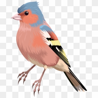 Bird Png Clip Art, Transparent Png