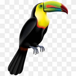 Toucan Bird Png Clip Art Image, Transparent Png