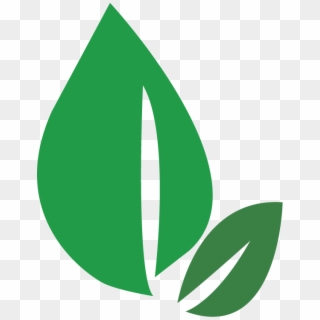 Green Leaves - Logo Leaves Png, Transparent Png