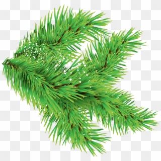 Download - Christmas Tree Leaves Png, Transparent Png