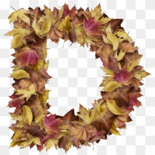 Letter D From Dry Leaves - Wreath, HD Png Download
