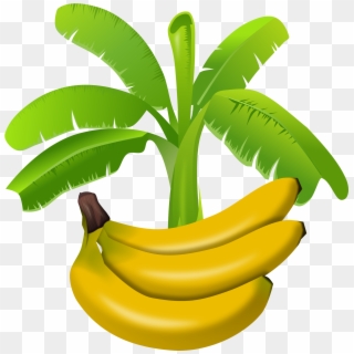 Banana Png, Transparent Png