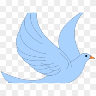 Twitter Clipart Transparent Background - Pigeons And Doves, HD Png Download