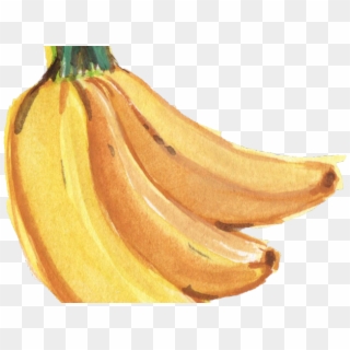 Banana Png Transparent Images - Watercolor Banana Png, Png Download