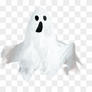 Transparent Png
