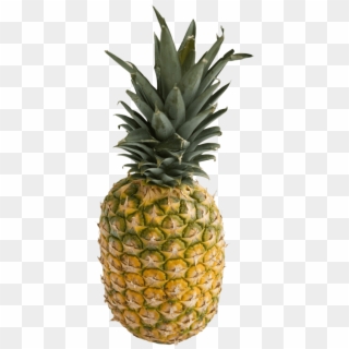 Free Png Pineapple Png Images Transparent - Pineapple Png, Png Download