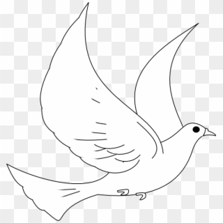 Kabutar Png Hd - White Dove, Transparent Png - 1172x1016(#1460697 ...