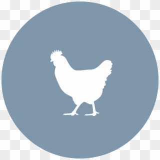 Knox Poultry Icon - Crazy Chicken Lady Svg, HD Png Download