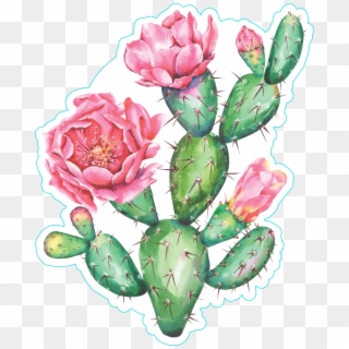 Watercolor Cactus With Beautiful Pink Flowers Sticker - Watercolor Cactus Pink Flowers, HD Png Download