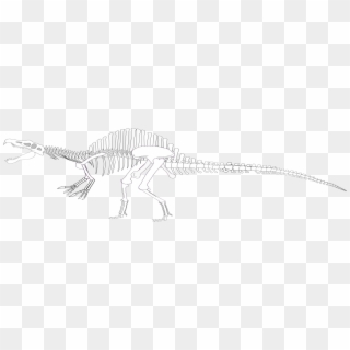 Spinosaurus Skeleton - Lesothosaurus, HD Png Download