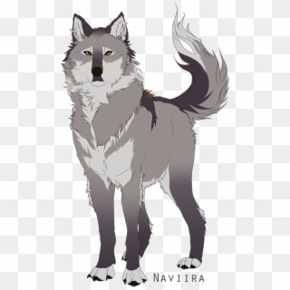 Grey Wolf Cartoon Png Transparent Png 500x752 5904446 Pngfind You can also upload and share your favorite wolf wallpapers 1920x1080. grey wolf cartoon png transparent png