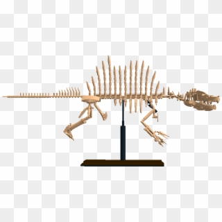 Current Submission Image - Skeleton, HD Png Download