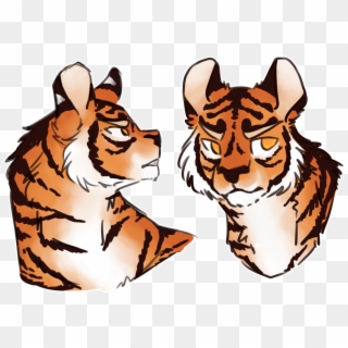 Boi Transparent Tiger - Cartoon, HD Png Download