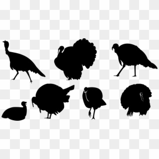 Turkey Ave Silhouette Chick Animal Wings Tail - Turkey, HD Png Download