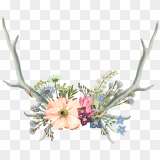 Drawn Antler Aesthetic - Aesthetic Flower Tumblr Drawing, HD Png Download