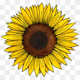 Travel Vol Ii - Aesthetic Sunflower Sticker, HD Png Download