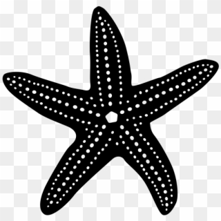Sea Star Icon Png, Transparent Png