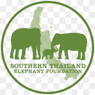 Elephant Charity, HD Png Download