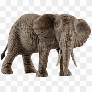 Schleich African Elephant Female, HD Png Download