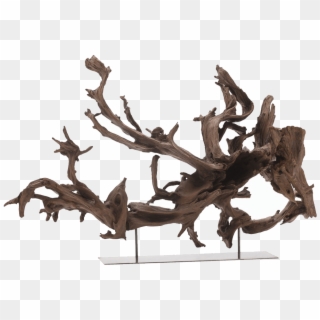 Kazu Natural Tree Root Sculpture - Sculpture Wood Branch, HD Png Download