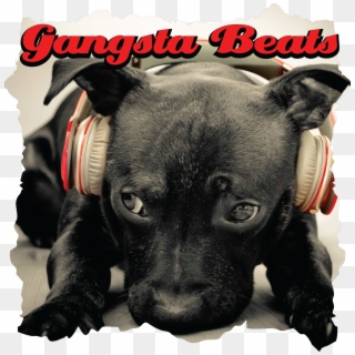 Gangsta Beats - Black Dog With Headphones, HD Png Download