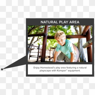 Amenity Center Natural Play Area - Tree, HD Png Download