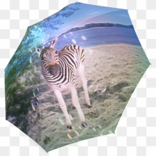 Zebra, HD Png Download