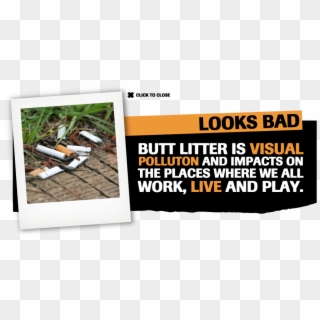 Cigarette Butts Environmental Impact - Flyer, HD Png Download