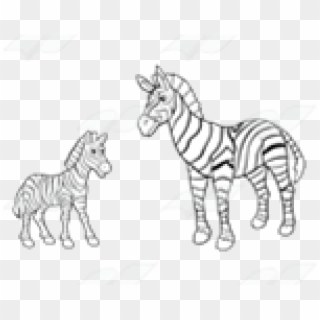 Zebra Mom And Baby Clipart, HD Png Download