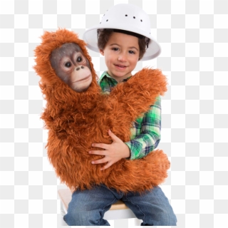 Orangutans For Kids, HD Png Download