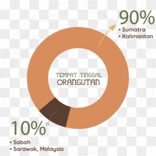 Orangutan Is Crucial For Ecosystems - Circle, HD Png Download
