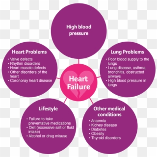 Hf Basics Circles - Causes Heart Problems, HD Png Download