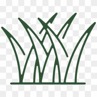 Grass Icon, HD Png Download