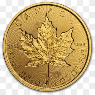 Buy 2019 Canada 1 Oz Gold Incuse Maple Leaf Bu Coin - Waarde Gouden Munten Usa, HD Png Download