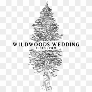 Wildswoods Wedding Photo Film - Illustration, HD Png Download
