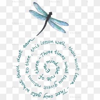 Dragon Fly Spiral , Png Download - Damselfly, Transparent Png