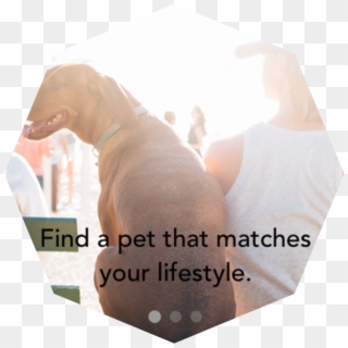 Pets&pals, HD Png Download