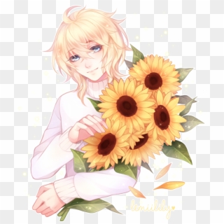 Sunflower Of Parting Regrets, HD Png Download