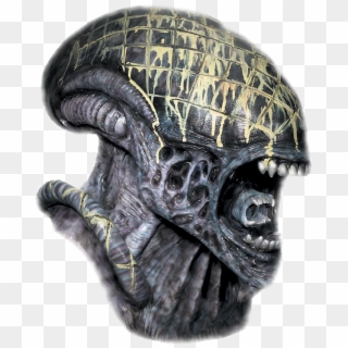 Deluxe Latex Alien Halloween Mask - Aliens Vs Predator Mask, HD Png Download